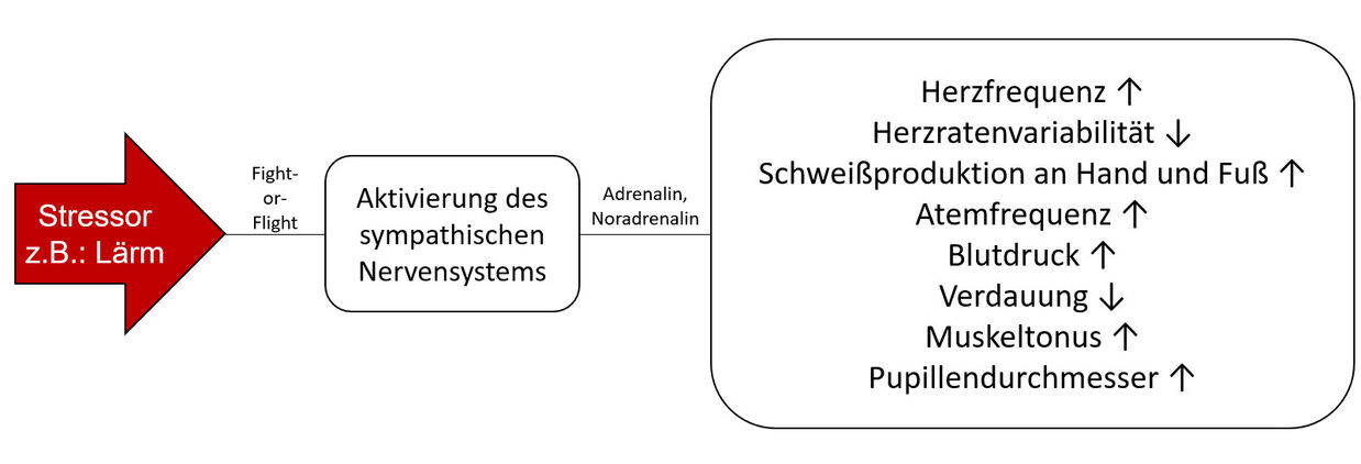 [Translate to German:] Fig. 1: Overview of physical changes