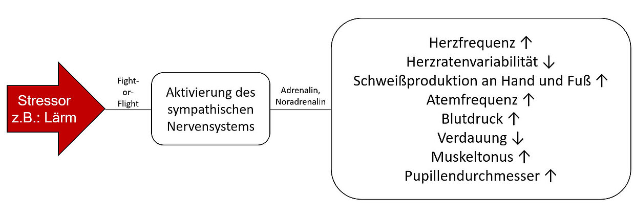 Fig. 1: Overview of physical changes