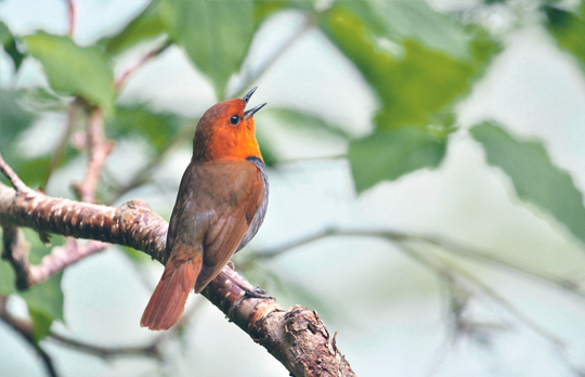  - Head Acoustics GmbH